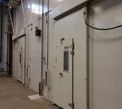 Large walk-in environmental room